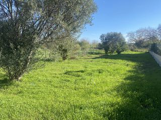 Οικόπεδο 537 τ.μ. πρός πώληση, Αχαΐα, Ερίνεο-thumb-15