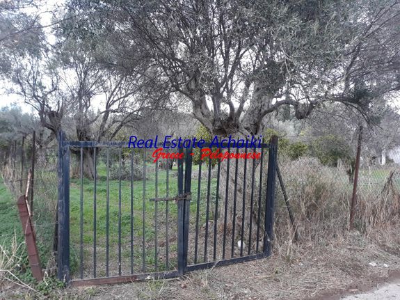 Οικόπεδο 3.245 τ.μ. για πώληση, Αχαΐα, Ερίνεο