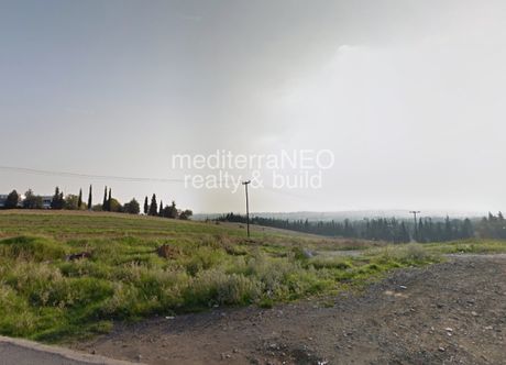 Οικόπεδο 3.000 τ.μ. για πώληση