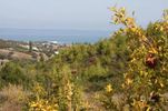 Parcel 6.700sqm for sale-Pallini » Chaniotis