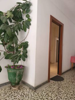 Διαμέρισμα 52τ.μ. για ενοικίαση-Κυψέλη » Νέα κυψέλη