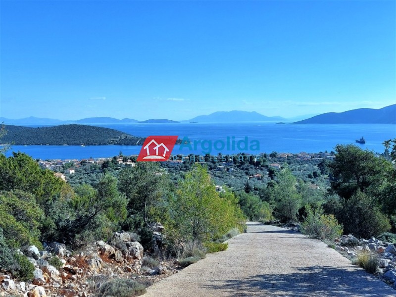 Αγροτεμάχια 12.000 τ.μ. προς πώληση, Κόρφος