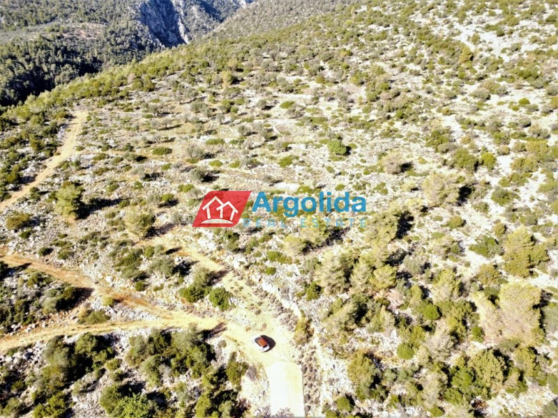 Αγροτεμάχια 12.000 τ.μ. προς πώληση, Κόρφος
