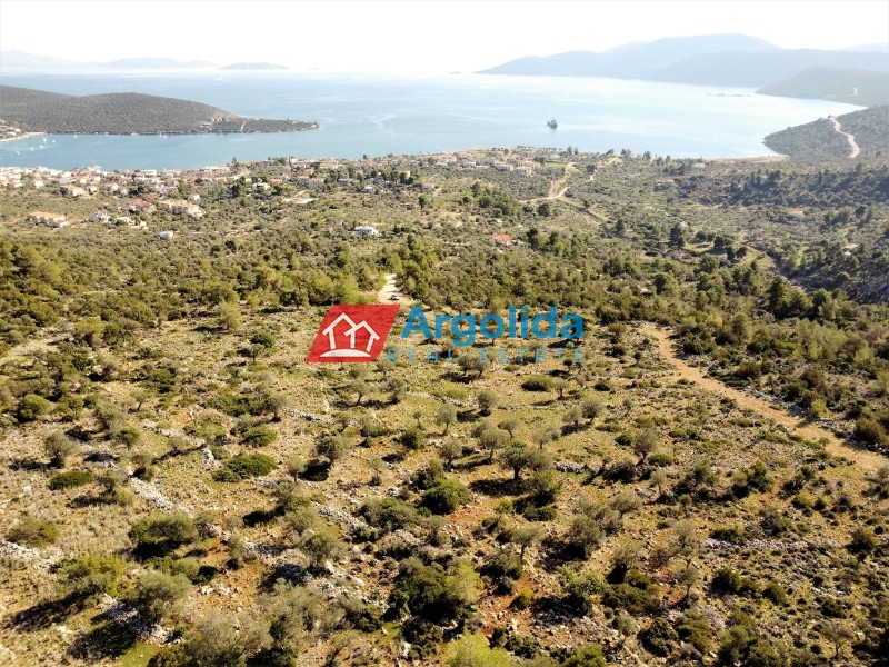 Αγροτεμάχια 12.000 τ.μ. προς πώληση, Κόρφος
