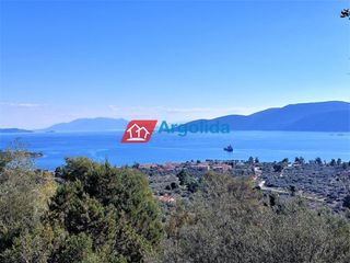 Αγροτεμάχια 12.000 τ.μ. για πώληση