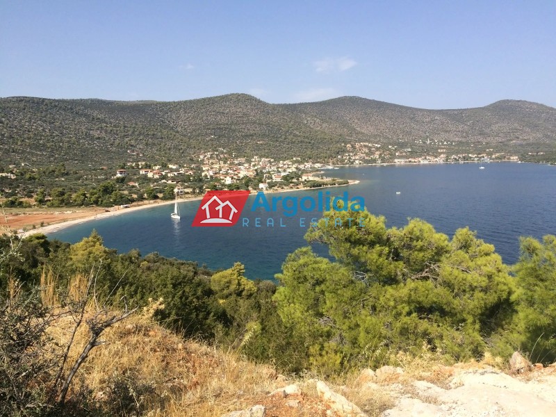 Αγροτεμάχια 12.000 τ.μ. προς πώληση, Κόρφος
