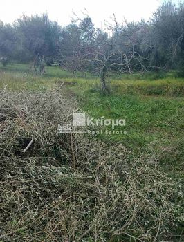 Parcel 5.700sqm for sale-Iardanos » Chanakia
