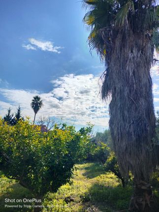 Land plot 3.000 sqm for sale, Ilia, Pirgos
