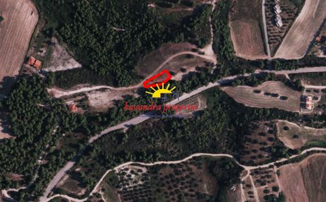 Αγροτεμάχια 766τ.μ. για πώληση-Κασσάνδρα » Μπουλαμάτσια