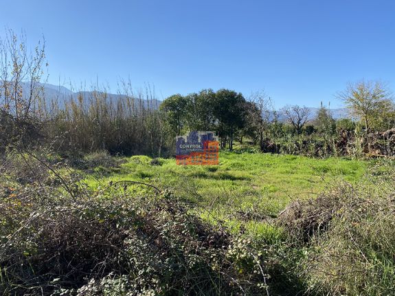 Land plot 2.867 sqm for sale, Achaia, Aigio