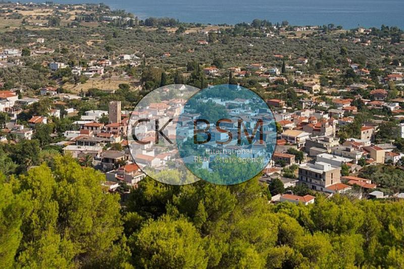 Οικόπεδο 300 τ.μ. προς πώληση, Πολιτικά