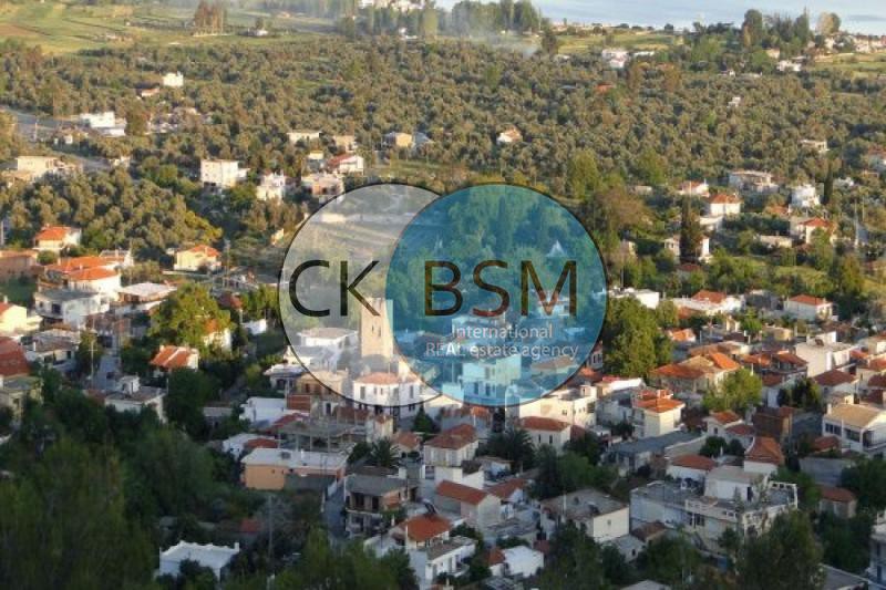 Οικόπεδο 300 τ.μ. προς πώληση, Πολιτικά
