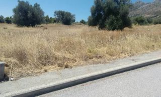 Οικόπεδο 470 τ.μ. για πώληση, Εύβοια, Αμάρυνθος-thumb-6