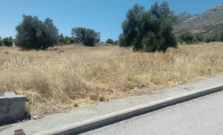 Οικόπεδο 470 τ.μ. για πώληση, Εύβοια, Αμάρυνθος-thumb-7