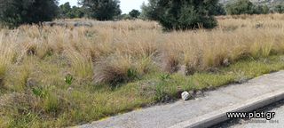 Οικόπεδο 470 τ.μ. για πώληση, Εύβοια, Αμάρυνθος-thumb-4