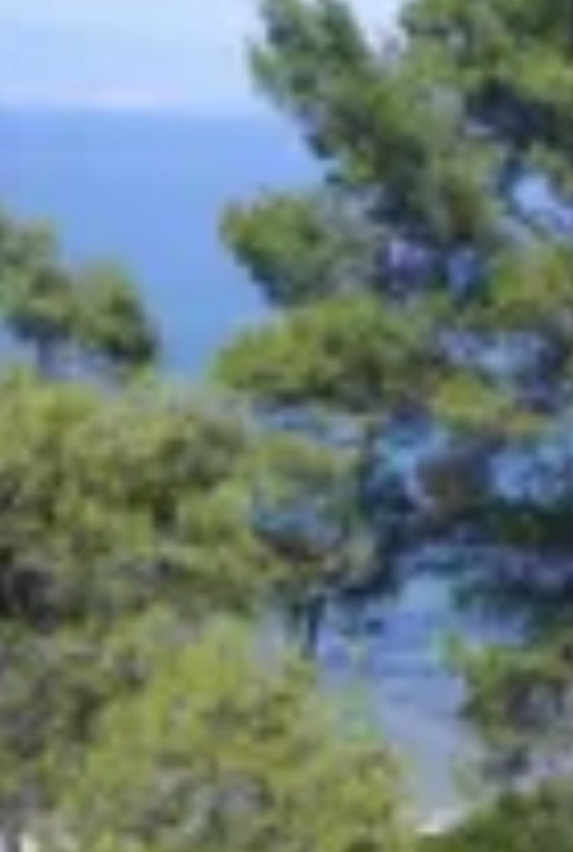 Οικόπεδο 20.000 τ.μ. προς πώληση, Άσπρο Λιθάρι
