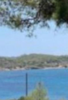 Οικόπεδο 4.000τ.μ. για πώληση-Λαύριο » Άσπρο λιθάρι