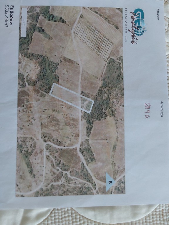 Αγροτεμάχια 5.532 τ.μ. προς πώληση, Κουμίτσα
