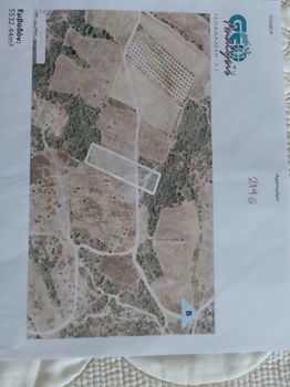 Αγροτεμάχια 5.532 τ.μ. προς πώληση