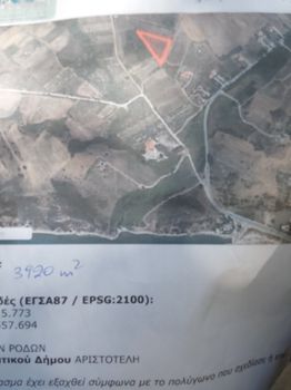 Αγροτεμάχια 3.980 τ.μ. προς πώληση
