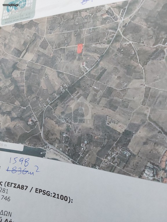 Αγροτεμάχια 1.598 τ.μ. προς πώληση, Νέα Ρόδα