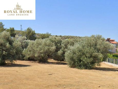 Οικόπεδο 500τ.μ. για πώληση-Βάρη- βάρκιζα » Μηλαδέζα