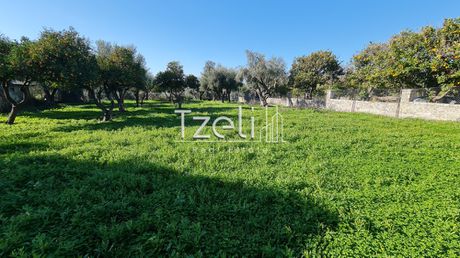 Οικόπεδο 4.100τ.μ. για πώληση-Πάτρα » Περιβόλια