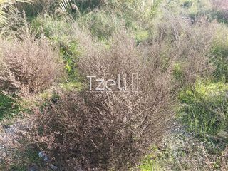 Οικόπεδο 793 τ.μ. για πώληση, Αχαΐα, Πάτρα-thumb-3