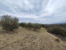Αγροτεμάχια 10.000τ.μ. για πώληση-Ορφανό » Οφρύνιο