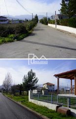 Οικόπεδο 14.756 τ.μ. για πώληση, Φθιώτιδας, Μώλος-thumb-2