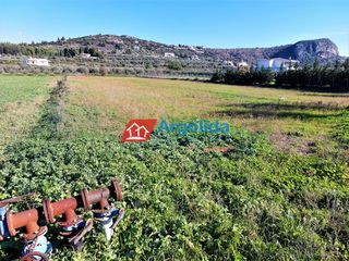 Αγροτεμάχια 6.000 τ.μ. προς πώληση, Άγιος Αδριανός-thumb-19