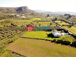 Αγροτεμάχια 6.000 τ.μ. προς πώληση, Άγιος Αδριανός-thumb-7