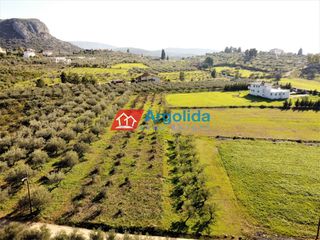 Αγροτεμάχια 6.000 τ.μ. προς πώληση, Άγιος Αδριανός-thumb-12