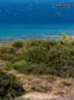 Οικόπεδο 16.400 τ.μ. για πώληση