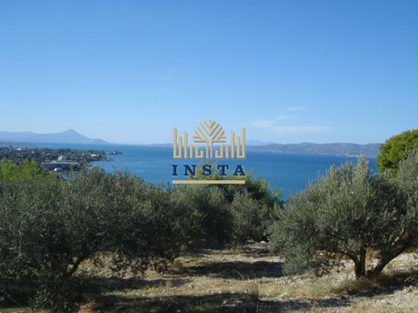 Land plot 4.000sqm for sale-Kalamos » Meteora