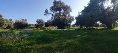 Land plot 850sqm for sale-Timpaki » Center