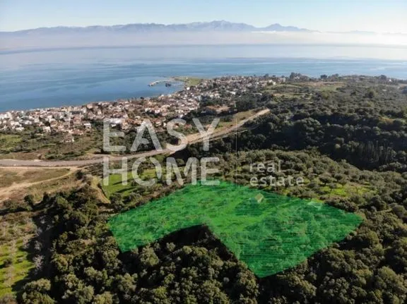 Land plot 5.710 sqm for sale, Messinia, Petalidi