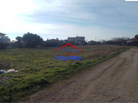 Οικόπεδο 759τ.μ. για πώληση-Τραϊανούπολη » Άνθεια