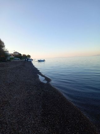 Land plot 1.200 sqm for sale, Achaia, Dytikis Achaias
