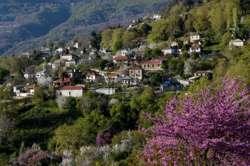 Μεζονέτα 263 τ.μ. πρός πώληση, Μαγνησία, Αρτέμιδα