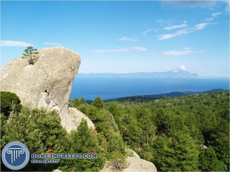 Parcel 16.330sqm for sale-Arnaia » Stanos