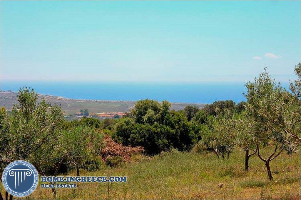 Αγροτεμάχια 16.330 τ.μ. πρός πώληση, Χαλκιδική, Αρναία