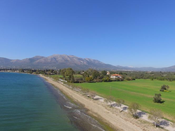Οικόπεδο 20.000 τ.μ. πρός πώληση, Εύβοια, Αμάρυνθος