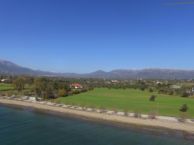 Οικόπεδο 20.000 τ.μ. πρός πώληση, Εύβοια, Αμάρυνθος