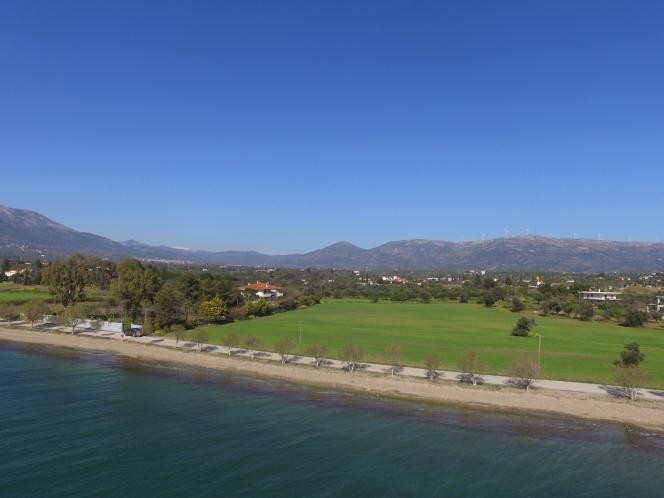 Οικόπεδο 20.000 τ.μ. πρός πώληση, Εύβοια, Αμάρυνθος