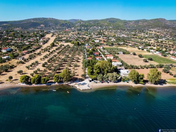 Land plot 1.000 sqm for sale, Evia, Eretria