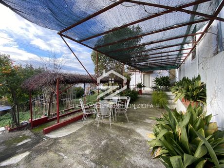 Detached home 90sqm for sale-Iolkos » Agios Onoufrios