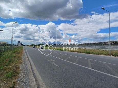 Αγροτεμάχια 59.200 τ.μ. για πώληση