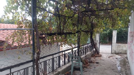 Μονοκατοικία 60 τ.μ. για πώληση