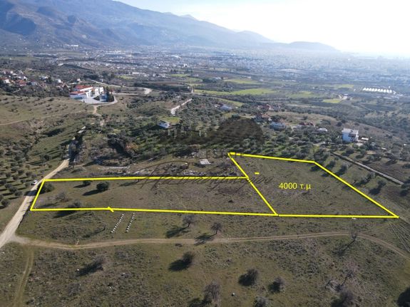 Αγροτεμάχια 4.000 τ.μ. για πώληση, Μαγνησία, Νέα Ιωνία Βόλου